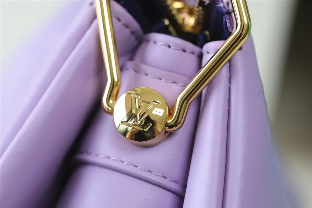 LV Coussin PM Bag - Image 5