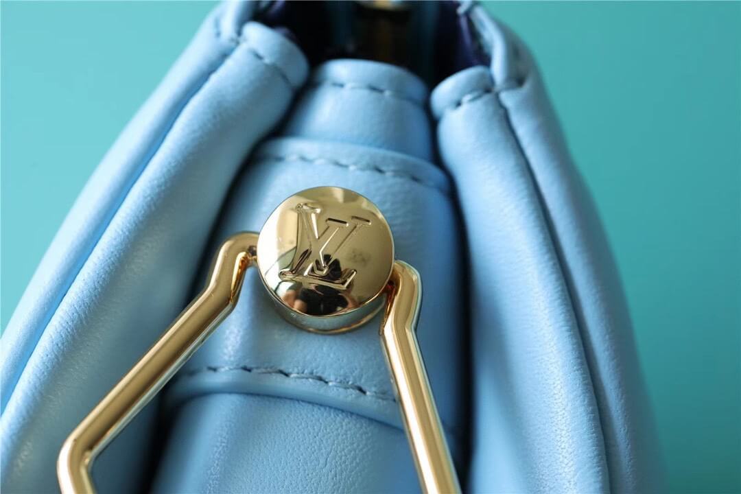 LV Coussin PM Bag - Image 4