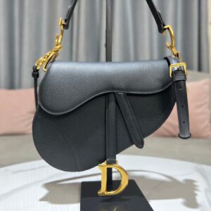 Dior Saddle Bag In Back