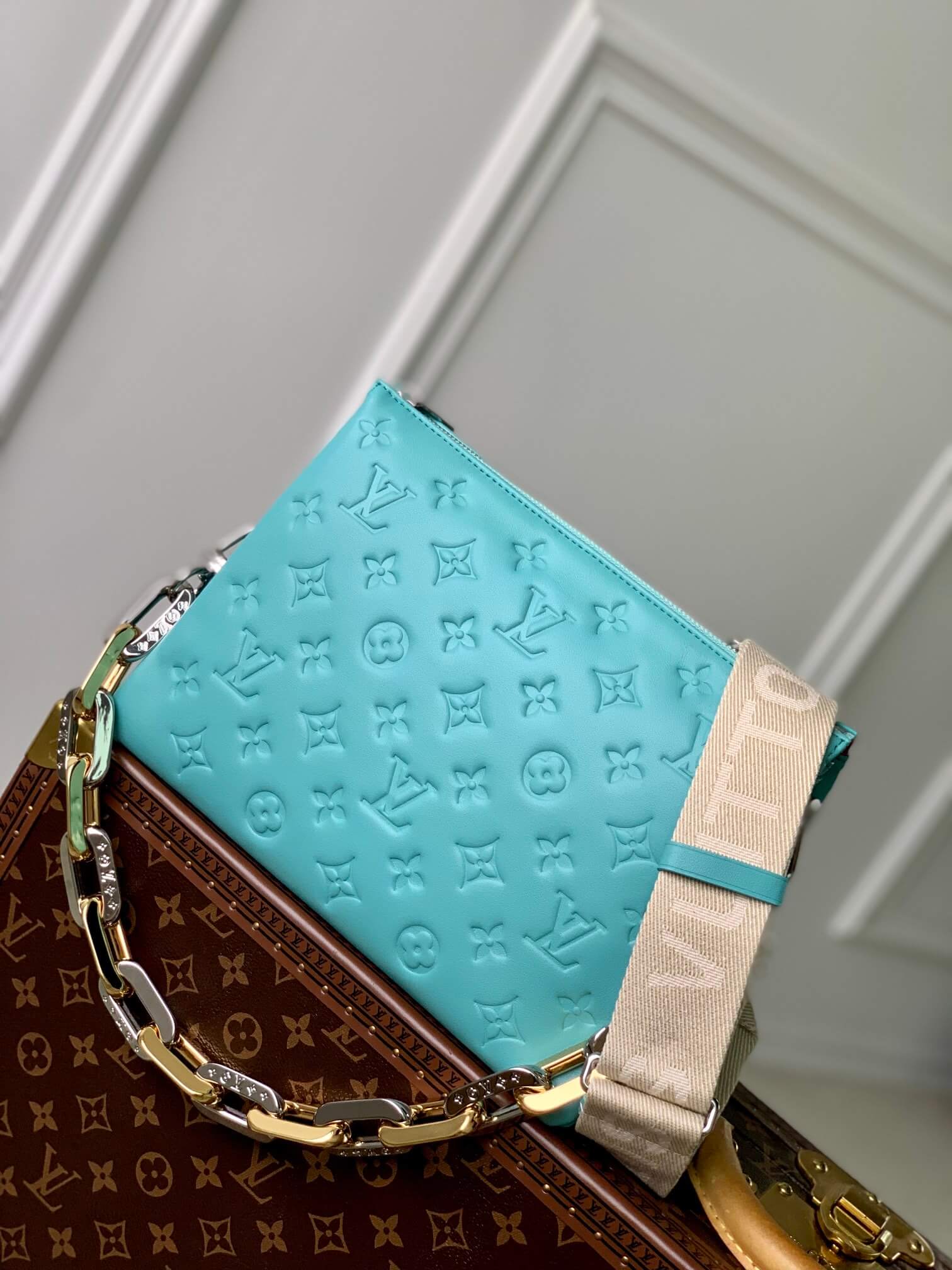 LV Coussin PM Bag - Image 6