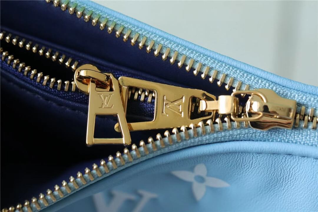 LV Coussin PM Bag - Image 5