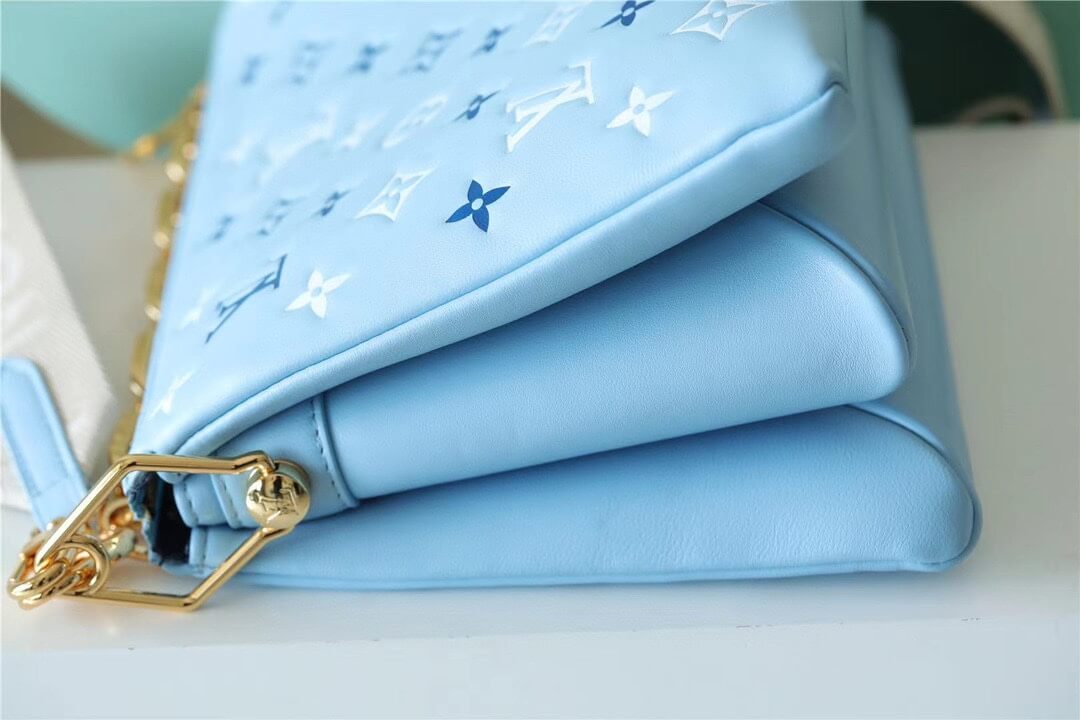 LV Coussin PM Bag - Image 7