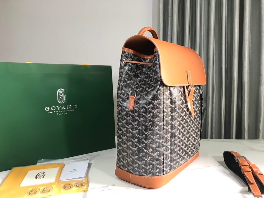 Goyard Alpin Backpack - Image 4