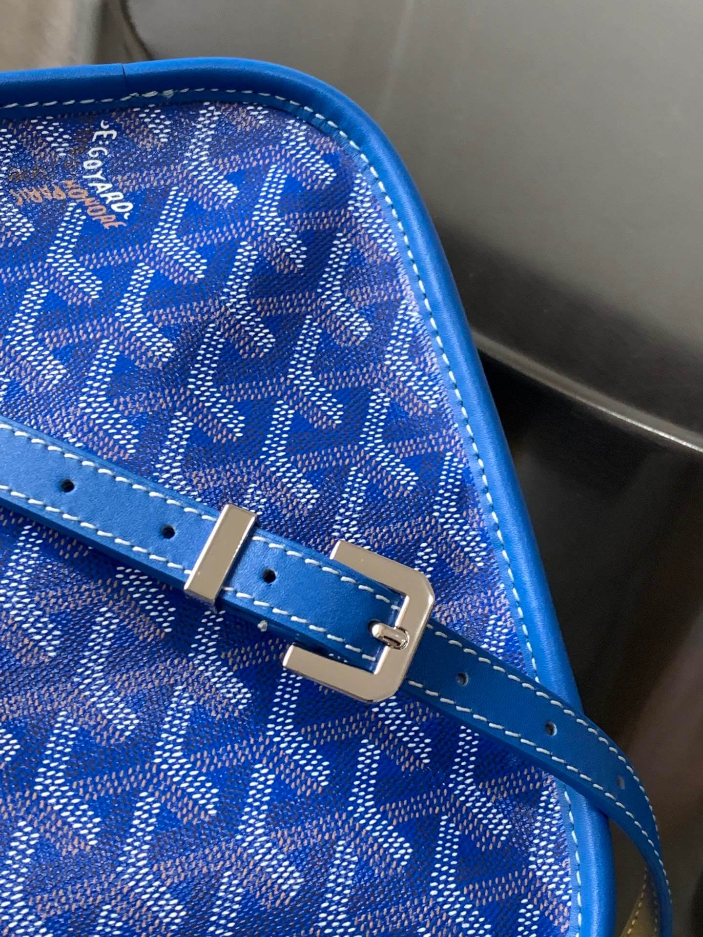 Goyard Belvedere Pm Bag - Image 2
