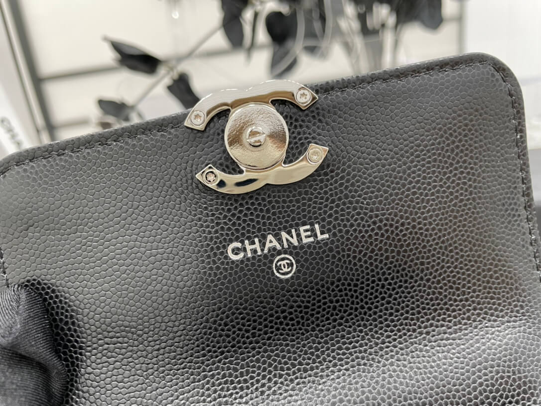 Chanel Classic Flap Top Handle Bag - Image 6