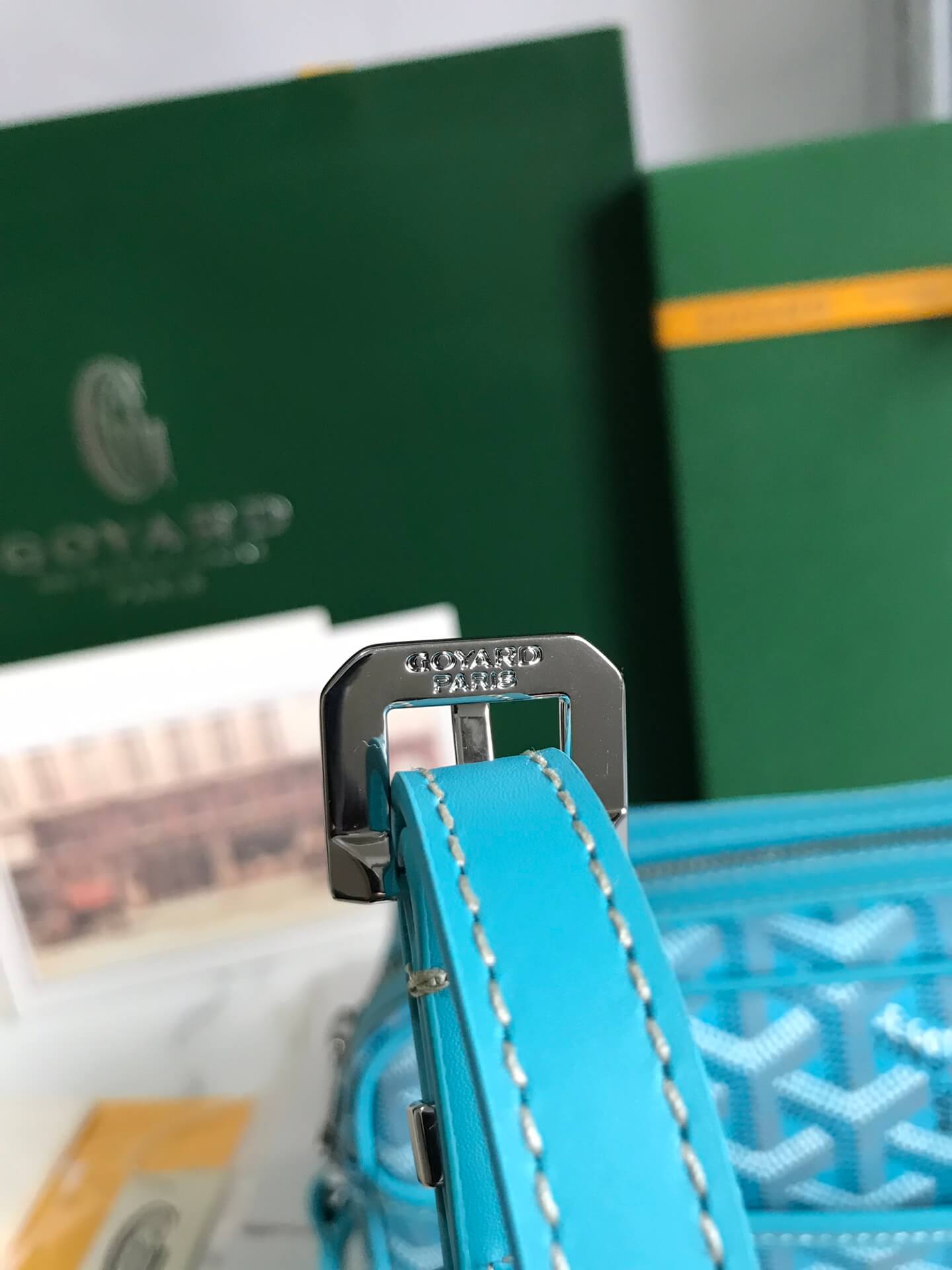 Goyard Cap-Vert Bag - Image 5