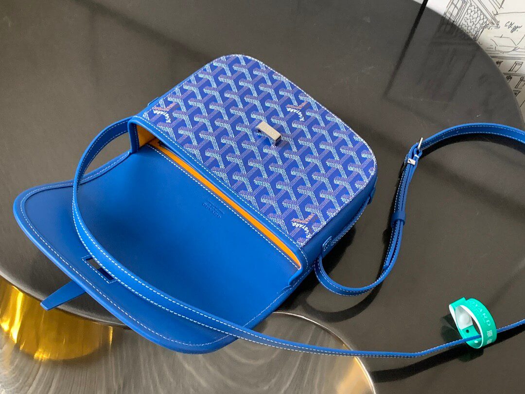 Goyard Belvedere Pm Bag - Image 4