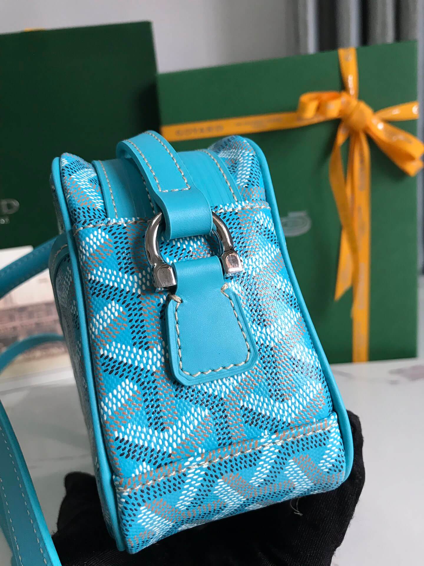 Goyard Cap-Vert Bag - Image 6