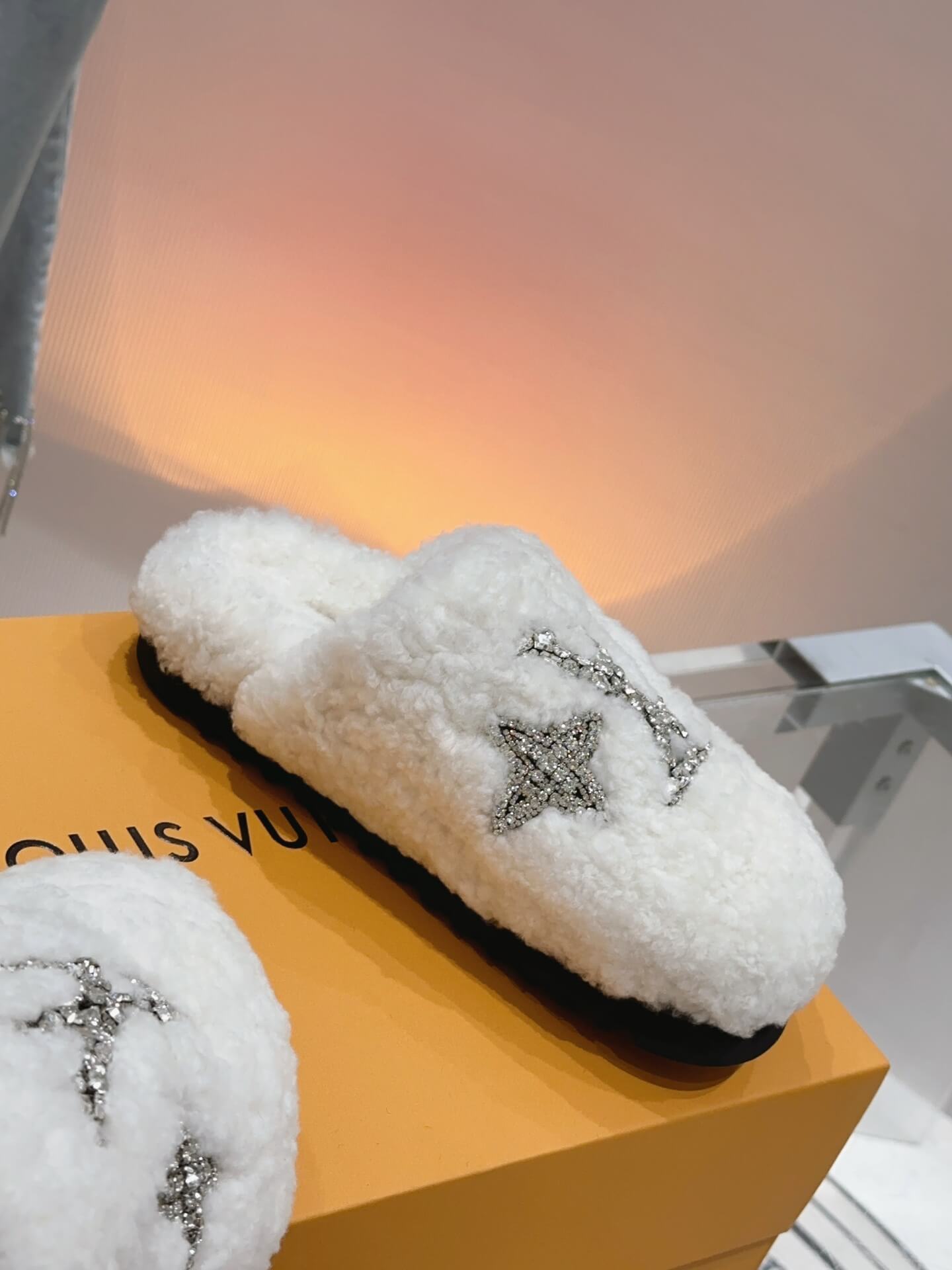 LV Paseo Flat Mule Shoes - Image 4