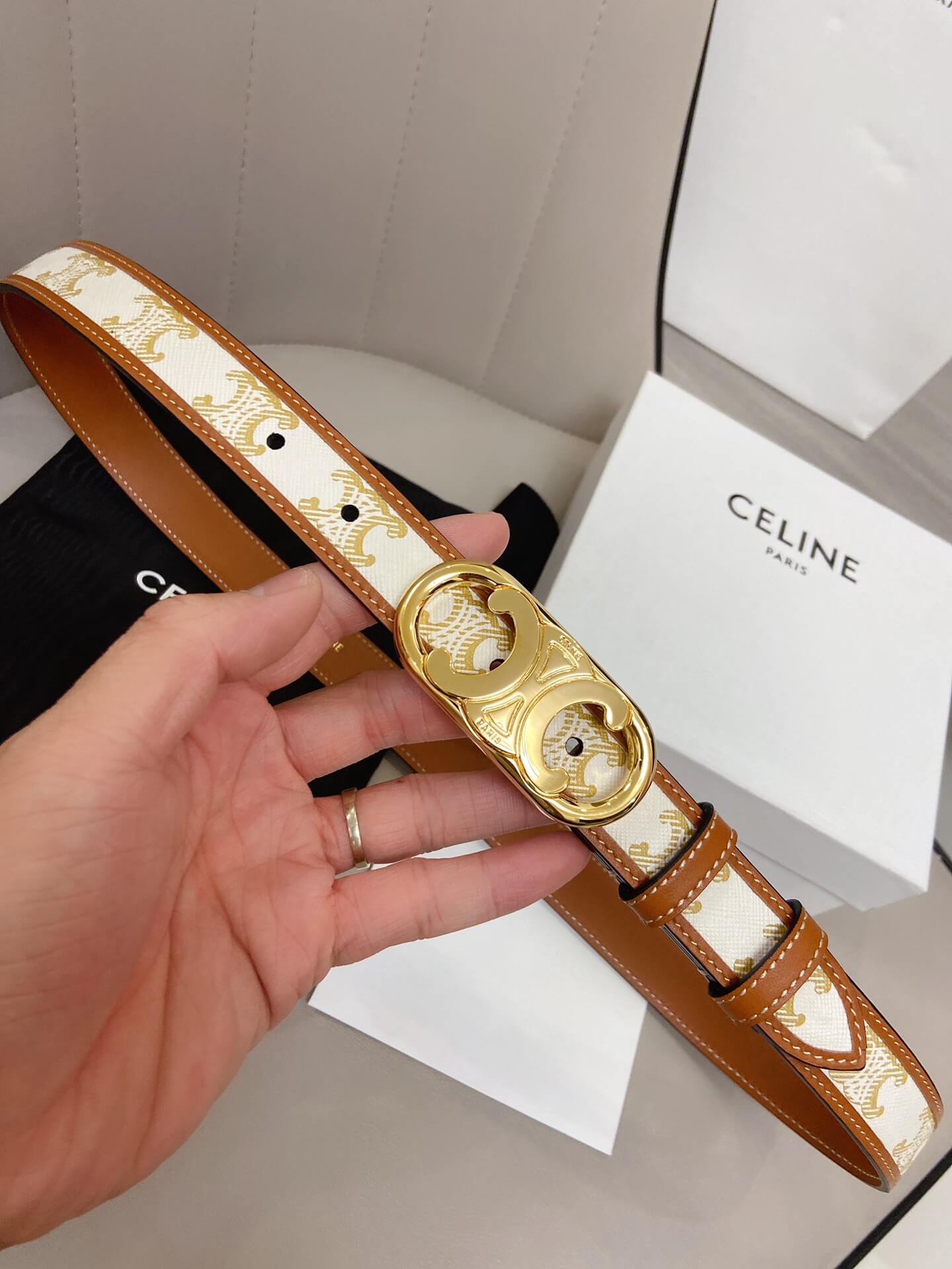 Celine Triomphe Belt in Triomphe Canvas and Calfskin - Image 6
