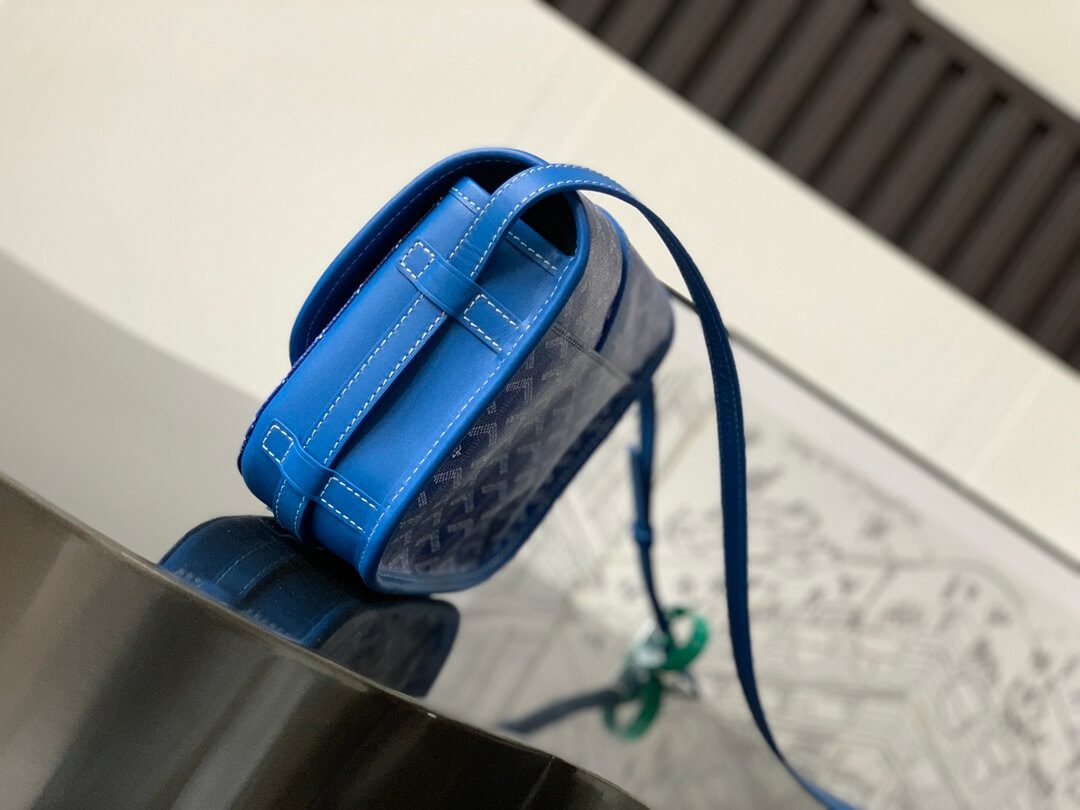 Goyard Belvedere Pm Bag - Image 8