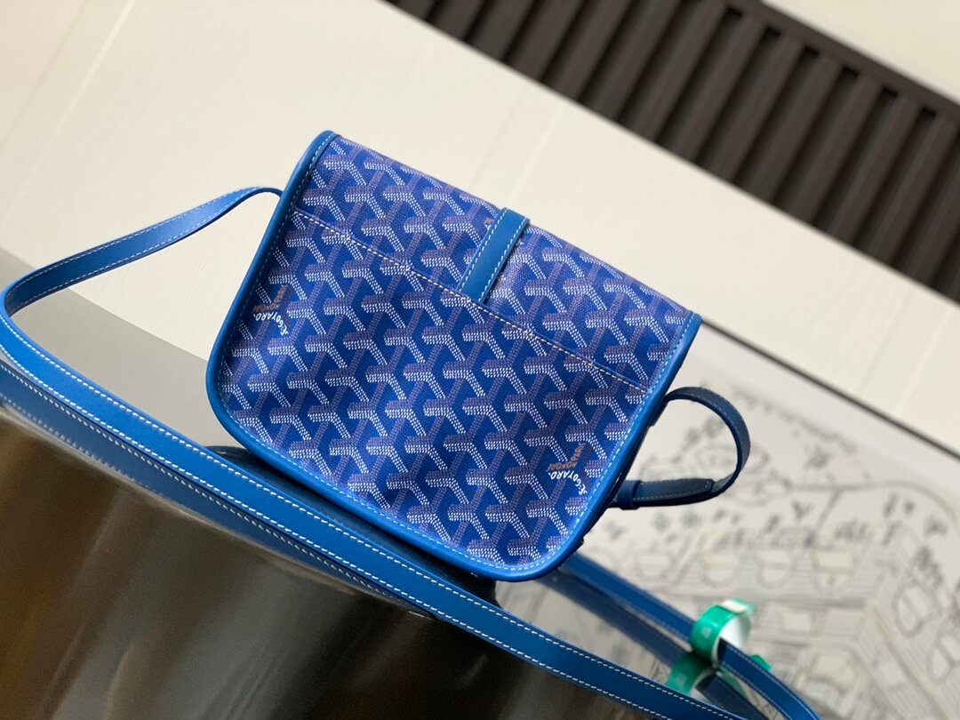 Goyard Belvedere Pm Bag - Image 9