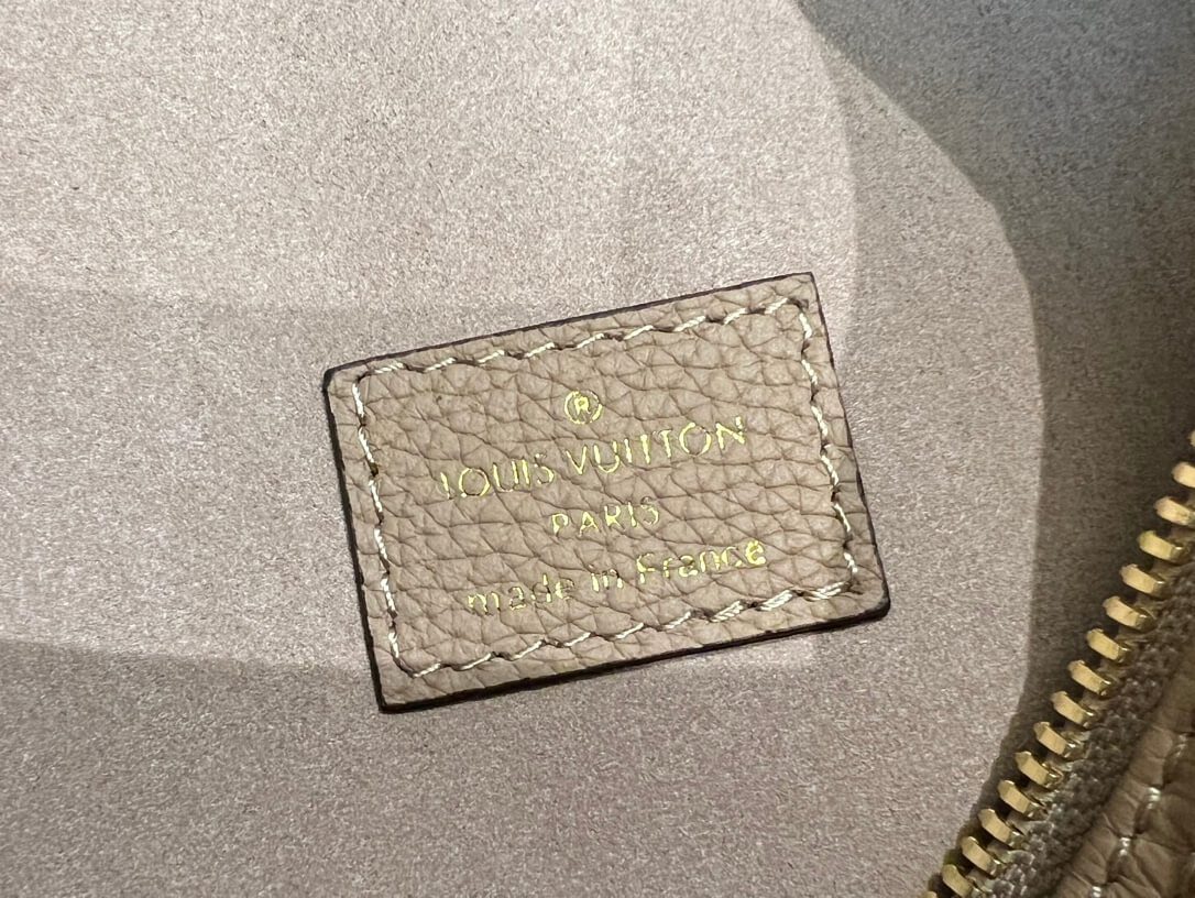 LV Loop Hobo Bag - Image 5