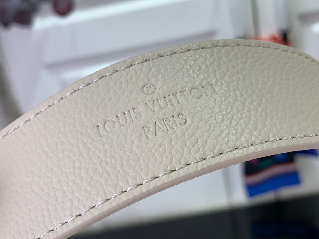 LV Carryall PM Bag - Image 6