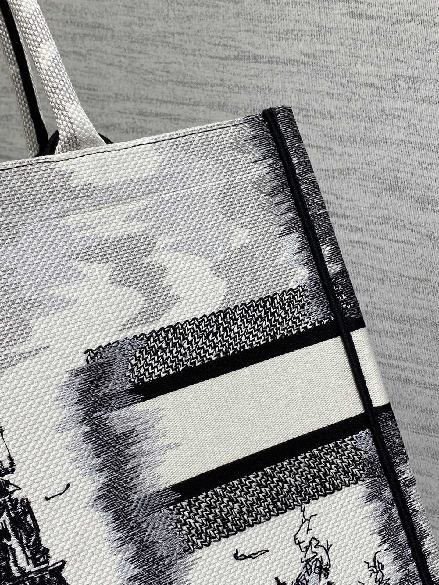 Dior Book Tote Bag - Image 5