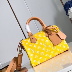 Louis Vuitton Speedy Bag