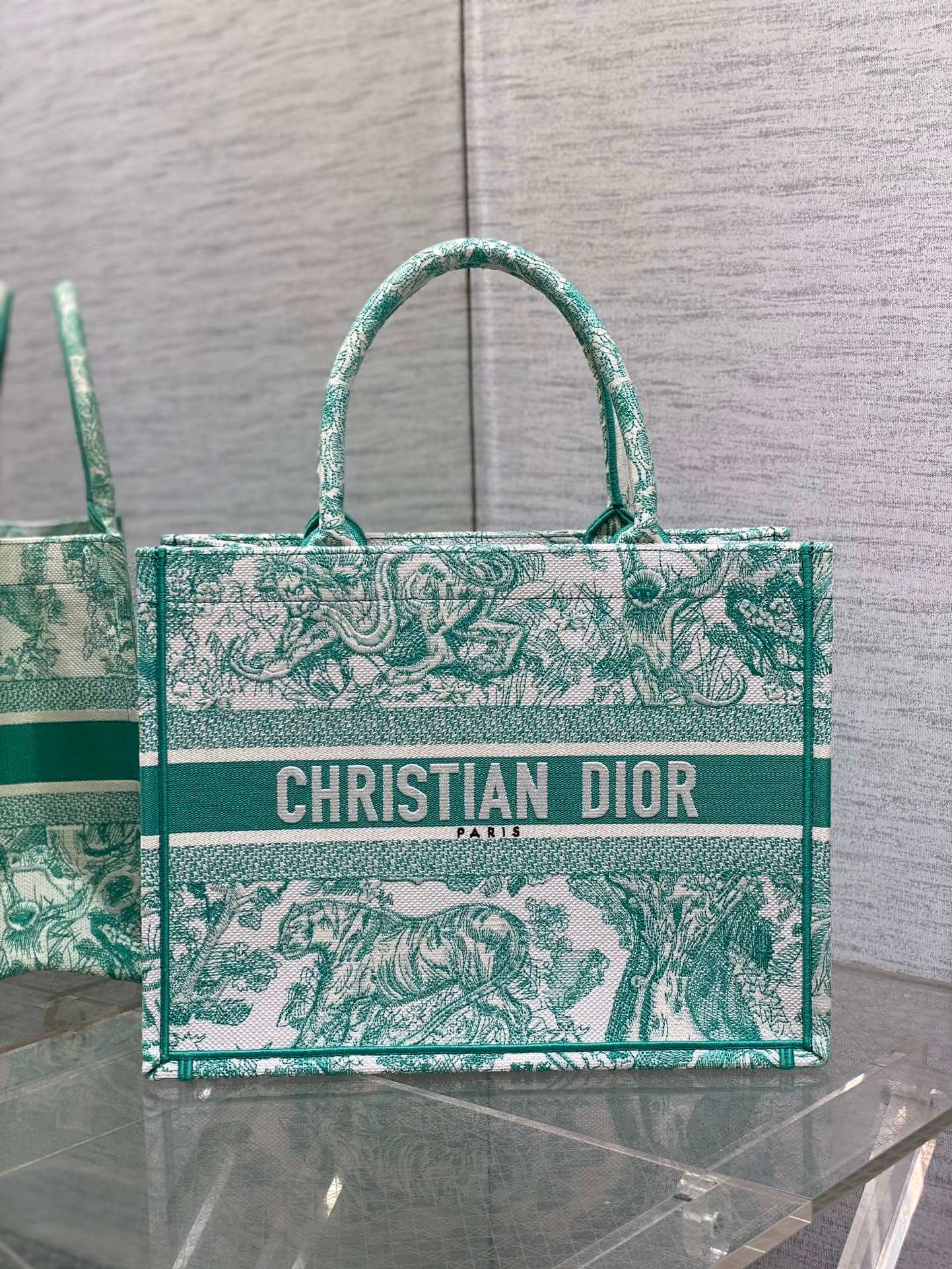 Dior Book Tote Bag