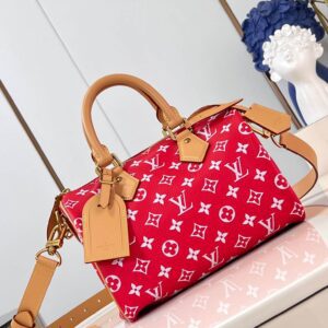 Louis Vuitton Speedy Bag