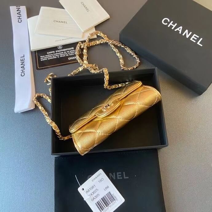 Chanel Gold Waist Mini Wallet - Image 6