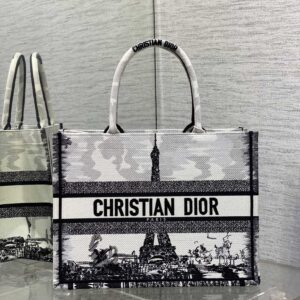 Dior Book Tote Bag