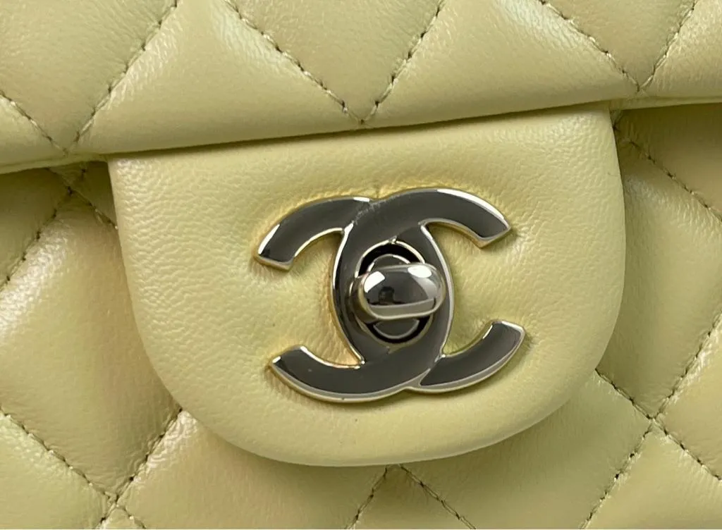 Chanel Spring Summer Seasonal Bag Collection - Image 10