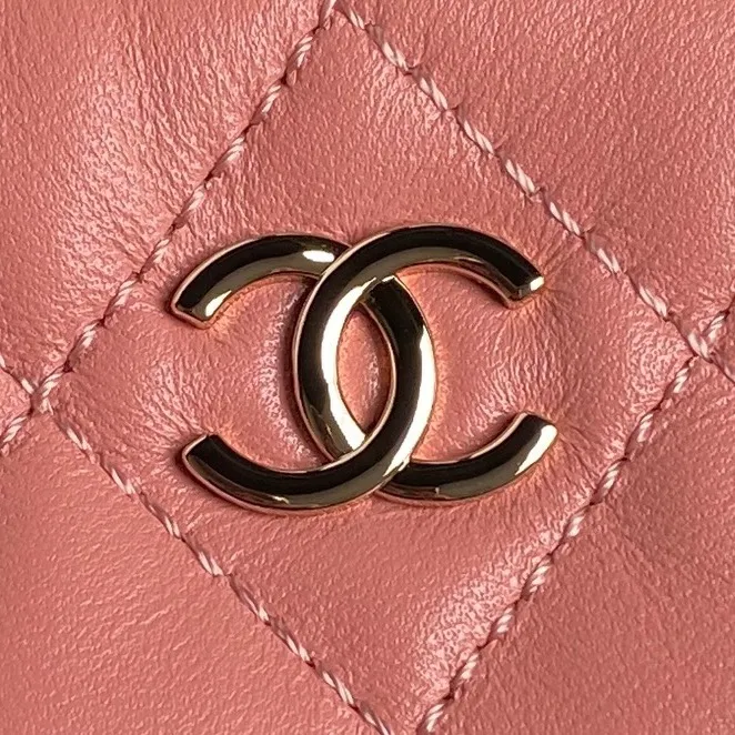 Vanity With Chain pink bag - Image 5